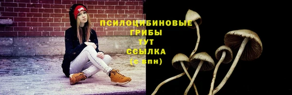 Альфа ПВП Аркадак