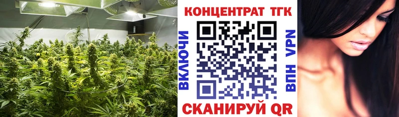 купить наркотики сайты  OMG как войти  Дистиллят ТГК вейп  Верхняя Салда 