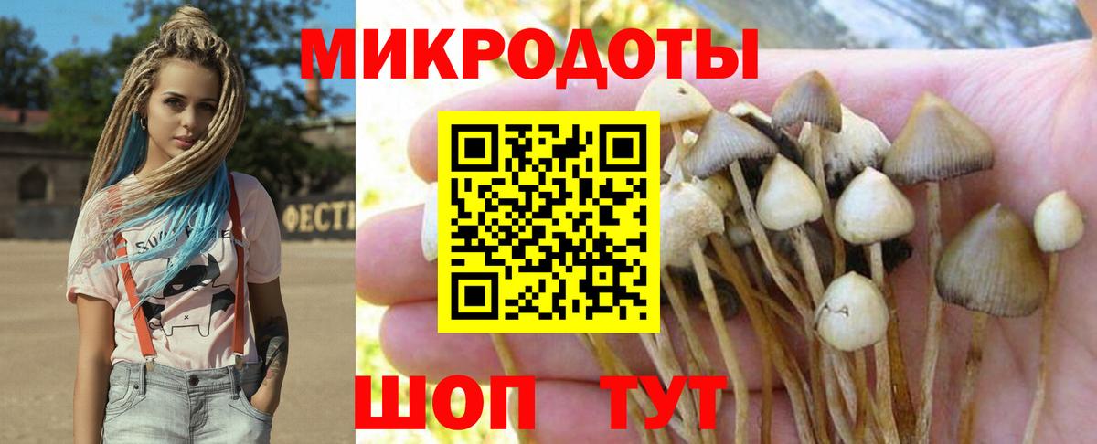 Галлюциногенные грибы Cubensis  Галлюциногенные грибы Cubensis  Верхняя Салда  Вход с VPN 