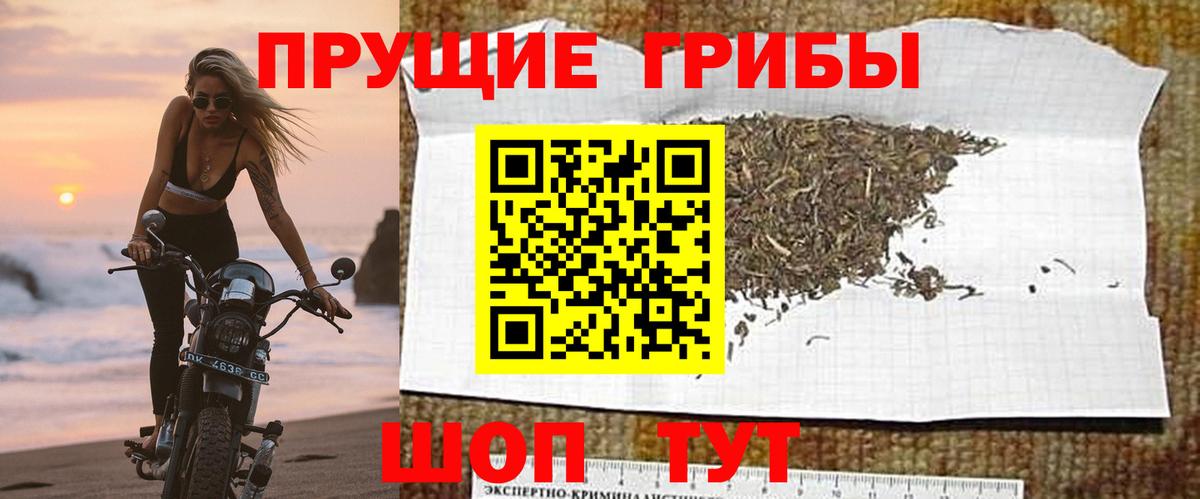 Галлюциногенные грибы мицелий Верхняя Салда